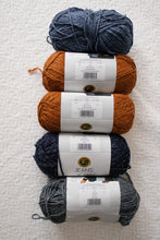 Lion Brand Jeans Yarn Bundle - Assorted Colours (5 skeins)