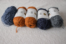 Lion Brand Jeans Yarn Bundle - Assorted Colours (5 skeins)