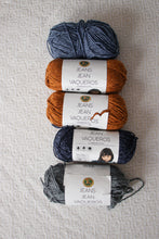 Lion Brand Jeans Yarn Bundle - Assorted Colours (5 skeins)