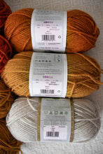 Lion Brand Wool-Ease/Vanna's Choice Yarn Bundle - (7 skeins)