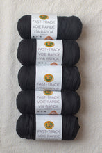 Lion Brand Fast Track Yarn Bundle - Black (5 skeins)