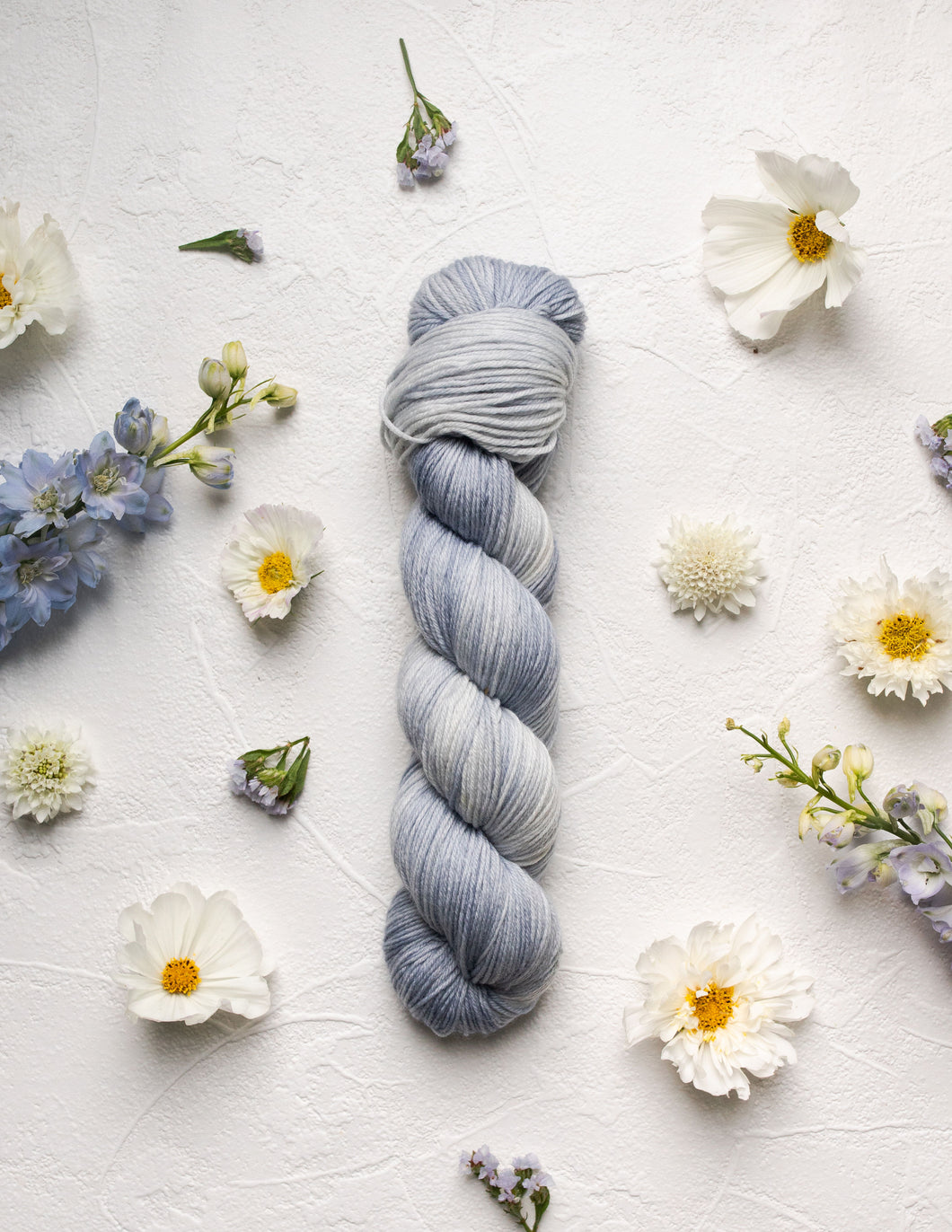 Hydrangea (Pre-Order)