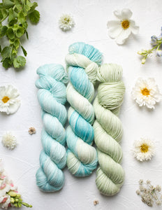 Blue Poppy (Pre-Order)
