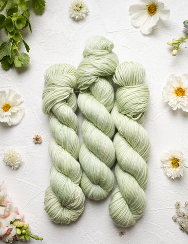 Calla Lily (Pre-Order)