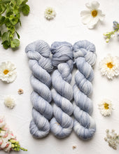 Hydrangea (Pre-Order)