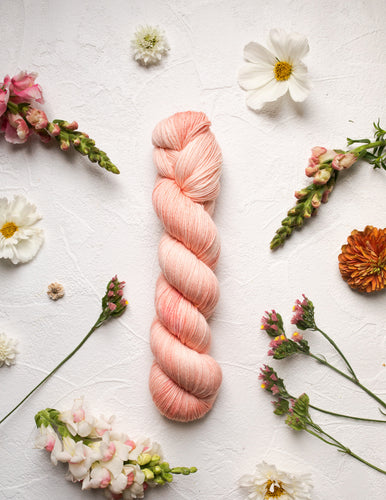 Dahlia (Pre-Order)